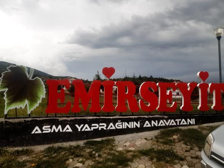 EMİRSEYİT ASMA YAPRAĞI SEZONU BAŞLADI